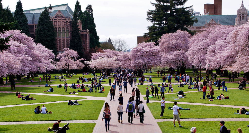Photo of the University of Washington