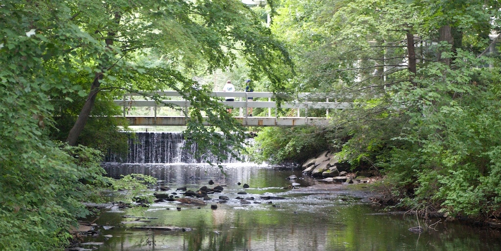 Photo of Mt Holyoke College