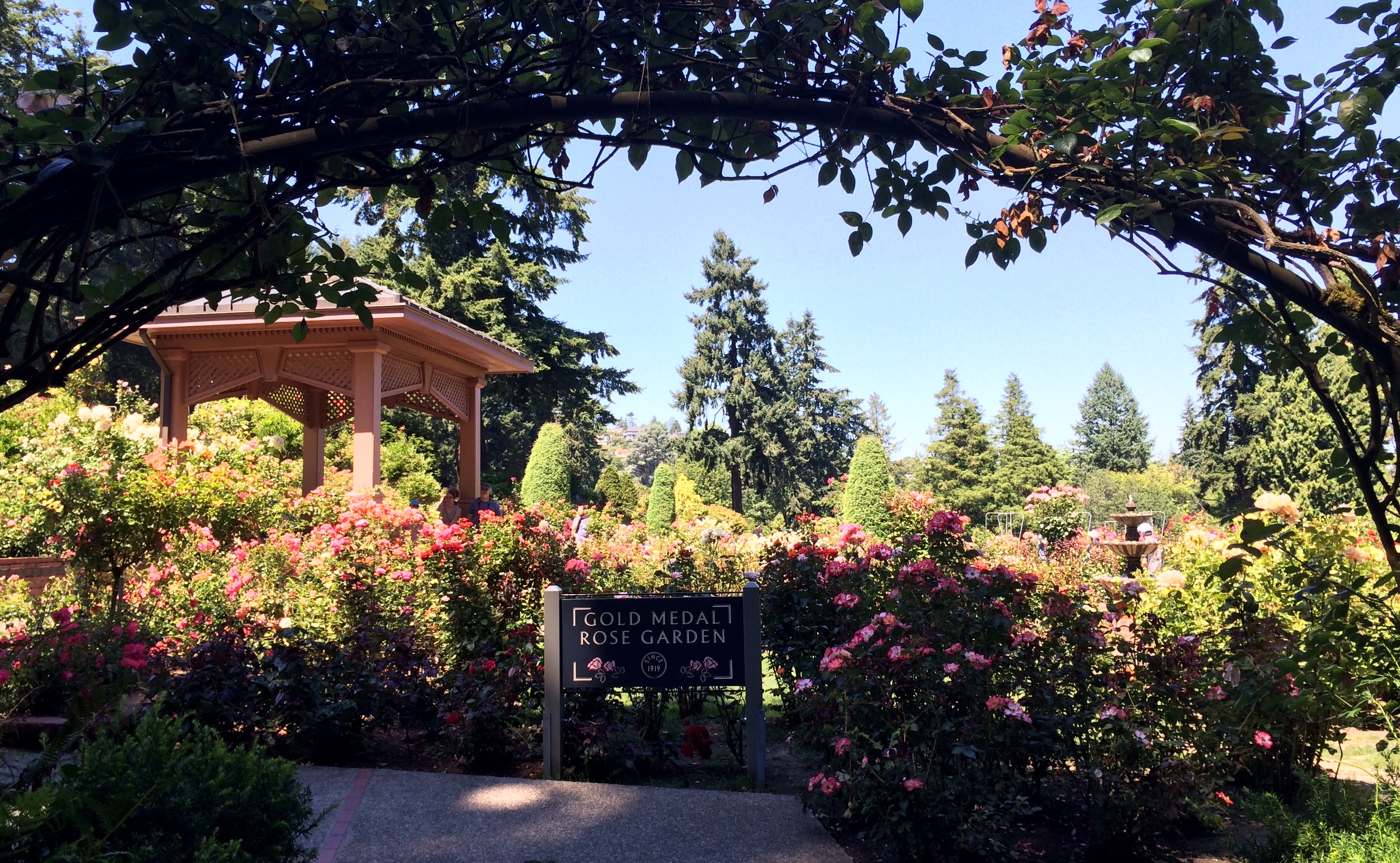 Photo of a field trip to the International Rose Test Garden at Mathcamp 2014